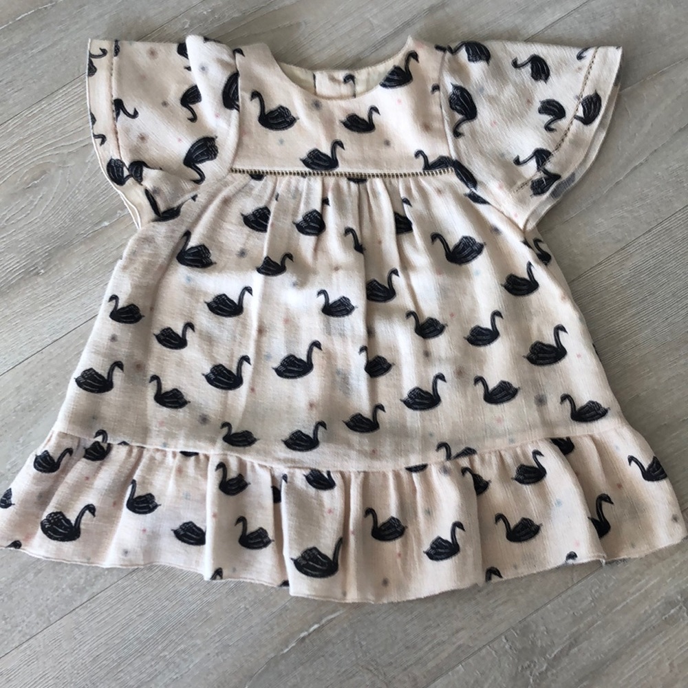 Zara dress